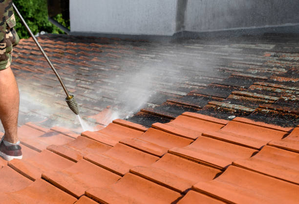 Best Roof Pressure Washing  in Bethel, OH